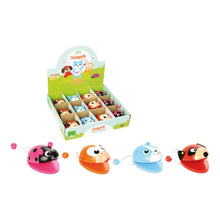 Kastanety-zvierat-všetky-škatuľa