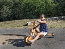 Trojkolka Drifter 5 + nízka