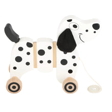 Psík na ťahanie dalmatínec