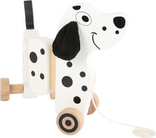 Psík na ťahanie dalmatínec