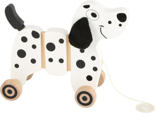 Psík na ťahanie dalmatínec