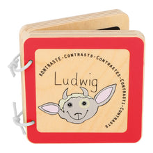 Drevená knižka Ludwig