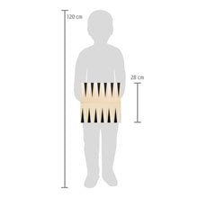 Šach, dáma a backgammon Gold Edition 6