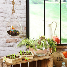 Hra zber záhradky 9