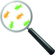 Moderné pohyblivé obrazy - zem, voda, vzduch