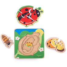 Vkladacie puzzle životné cykly lienky 2