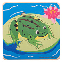 Vkladacie puzzle životné cykly žaby