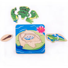 Vkladacie puzzle životné cykly žaby 2
