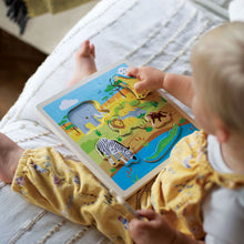 Vkladačka so zvukom Safari 5