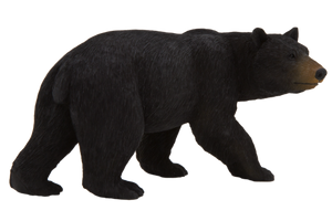 Medveď baribal Animal Planet