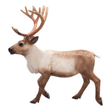Sob Animal Planet 5