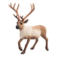 Sob Animal Planet 3
