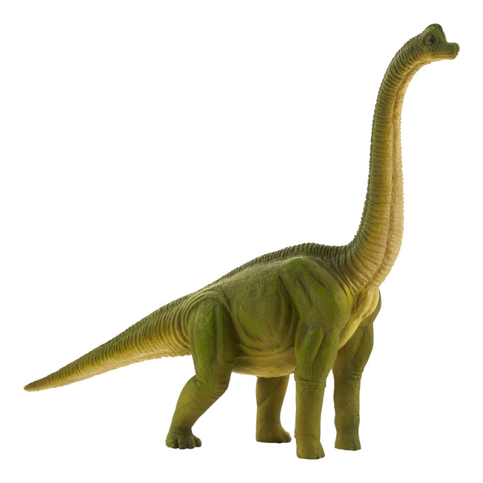 Brachiosaurus veľký Animal Planet