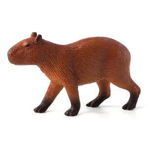 Kapybara Animal Planet