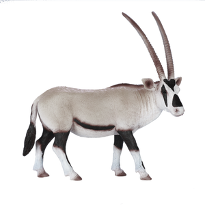 Oryx juhoafrický Animal Planet