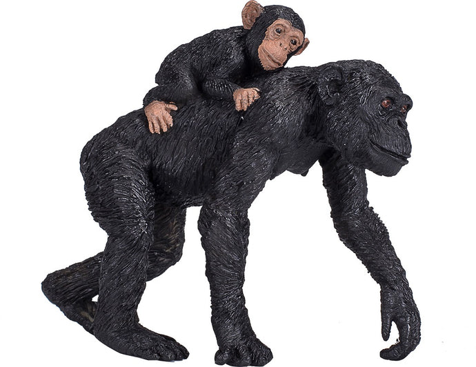 Šimpanz a mláďa Animal Planet
