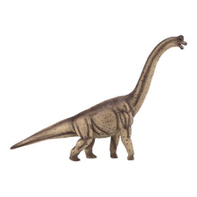 Brachiosaurus Animal Planet 3