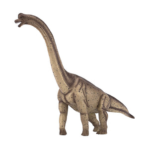 Brachiosaurus Animal Planet 2