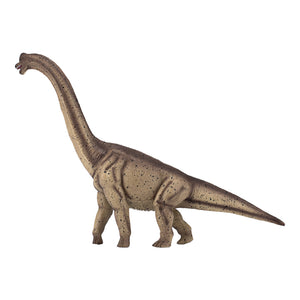 Brachiosaurus Animal Planet 5