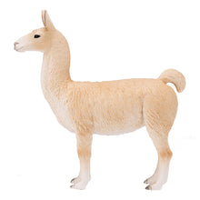 Lama Animal Planet 2