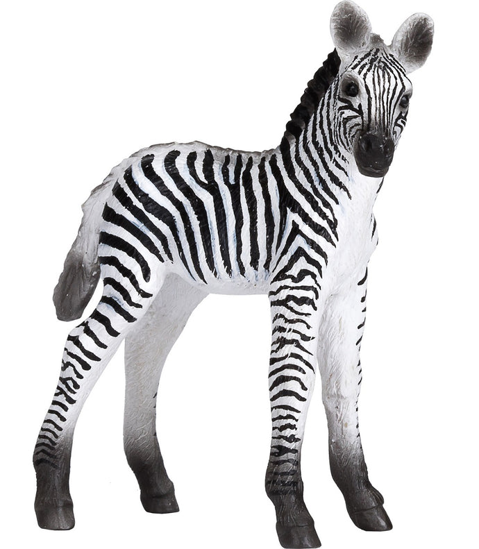 Zebra mláďa novinka Animal Planet