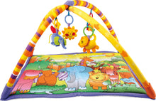 Pestrofarebná deka na hranie s hrazdičkou