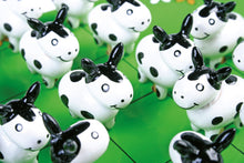 Solitér "Kravičky"