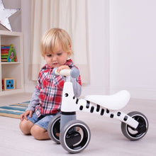 Odrážadlo zebra 3